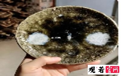 什么是柴烧壶承?柴烧壶承的作用是什么?