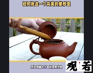想要泡出好茶,选择一个合适的茶壶非常重要,特别是紫砂壶